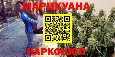 spice Гусиноозёрск