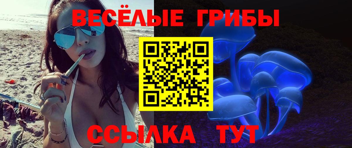 Москва  Галлюциногенные грибы прущие грибы  Вход с VPN 